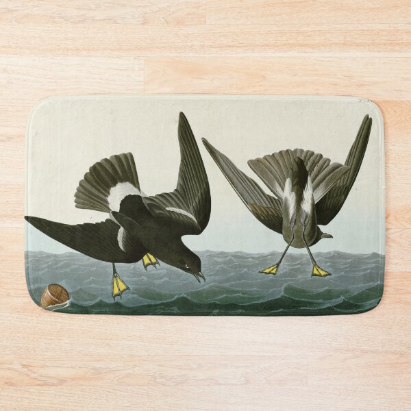 Item preview, Stormy Petrel - John James Audubon Birds of America designed and sold by Natural History Prints.