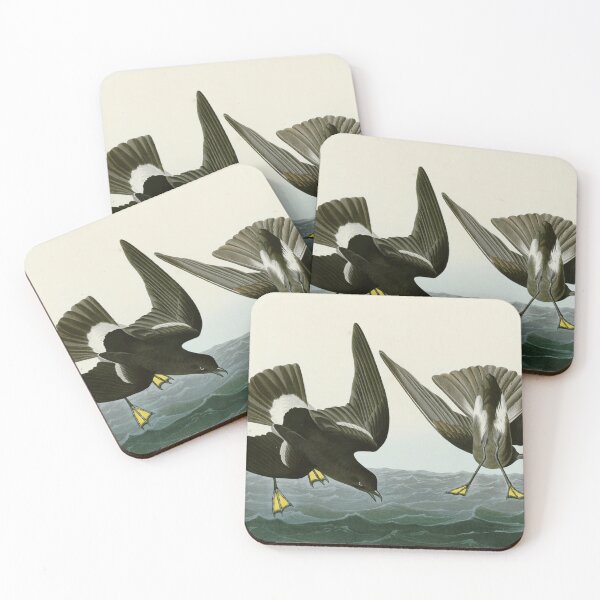 Item preview, Stormy Petrel - John James Audubon Birds of America designed and sold by Natural History Prints.