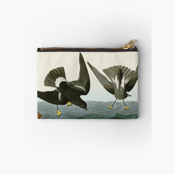 Item preview, Stormy Petrel - John James Audubon Birds of America designed and sold by Natural History Prints.