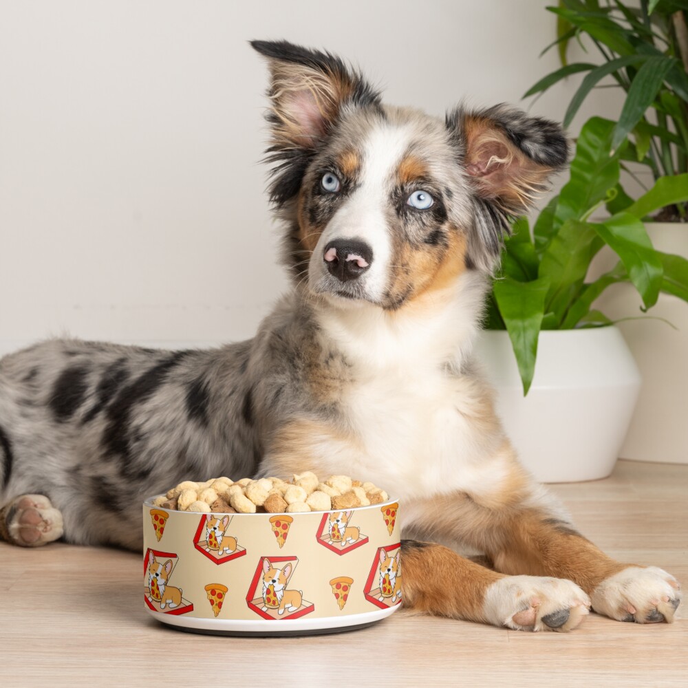 Corgi eats pizza Pet Bowl