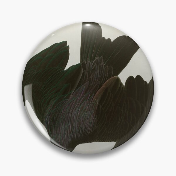 Item preview, Frigate Pelican - John James Audubon Birds of America designed and sold by Natural History Prints.