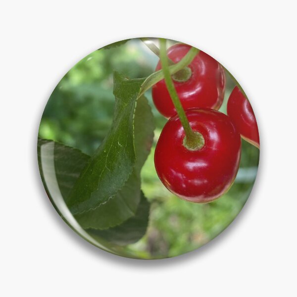 Item preview, Red sweet cherry in summer garden designed and sold by olena2552.