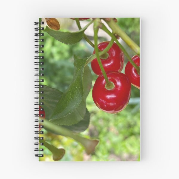 Item preview, Red sweet cherry in summer garden designed and sold by olena2552.