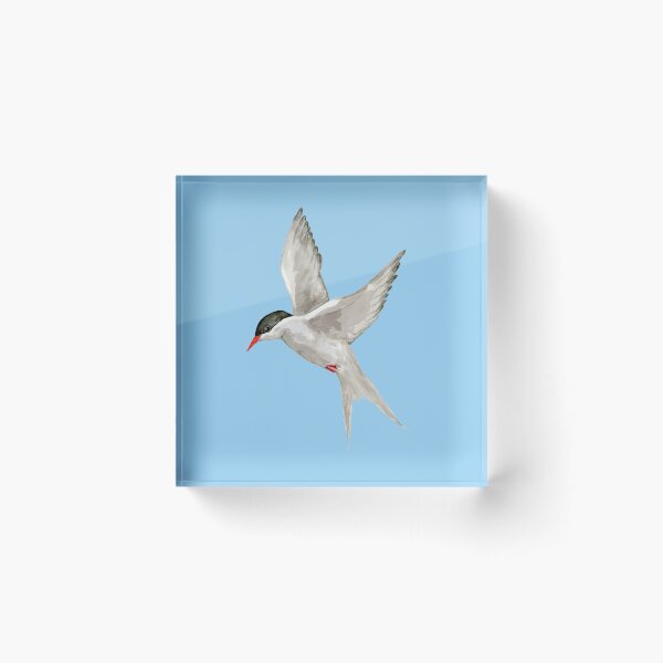 Item preview, Arctic tern watercolor designed and sold by Bwiselizzy.