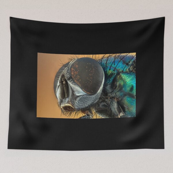 Item preview, A fly on the wall designed and sold by Rebel-Lizzie.