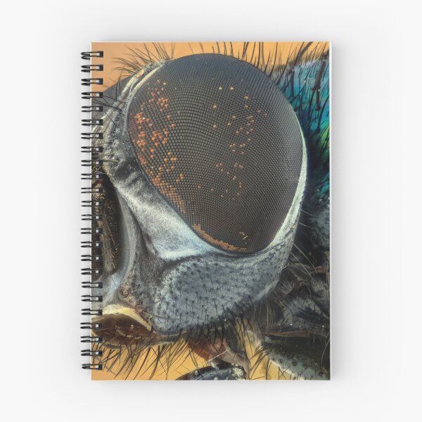 Item preview, A fly on the wall designed and sold by Rebel-Lizzie.