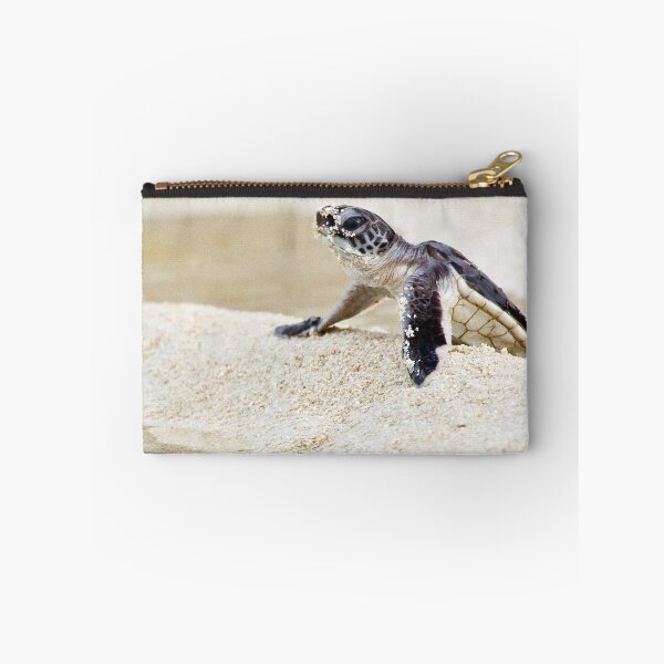 Item preview, Baby green sea turtle designed and sold by David Wachenfeld.