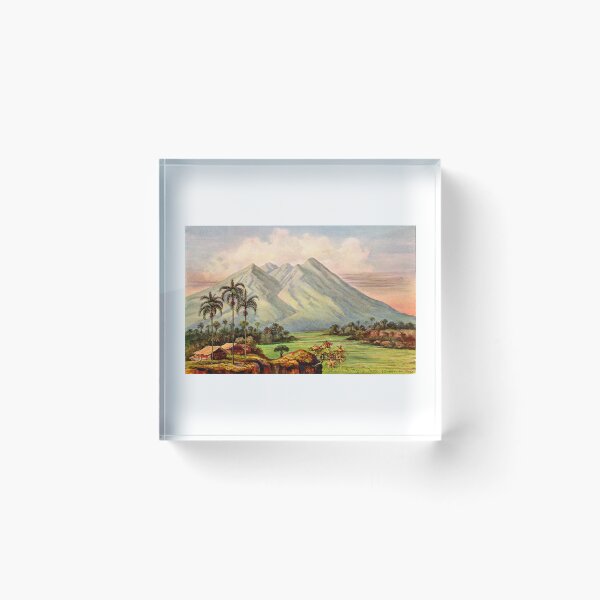 Item preview, The Salak volcano near Buitenzorg -Ernst Haeckel designed and sold by TeeARTHY.