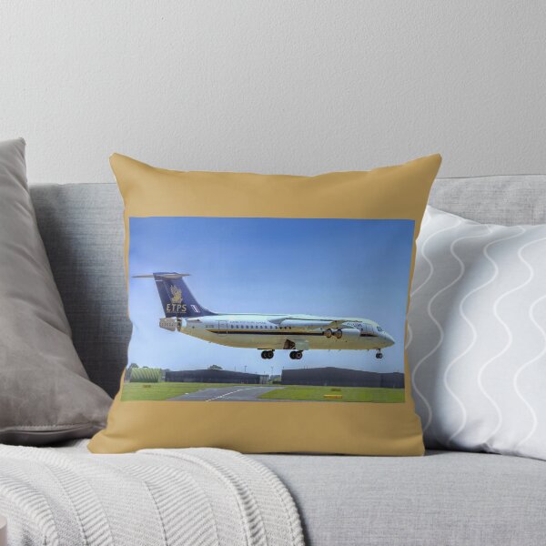 Item preview, BAe RJ.100 QQ101 G-BZAY designed and sold by Colin Smedley.