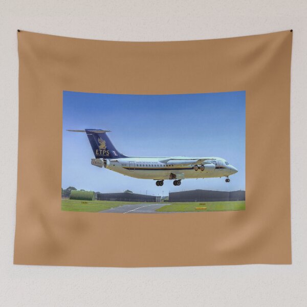 Item preview, BAe RJ.100 QQ101 G-BZAY designed and sold by Colin Smedley.
