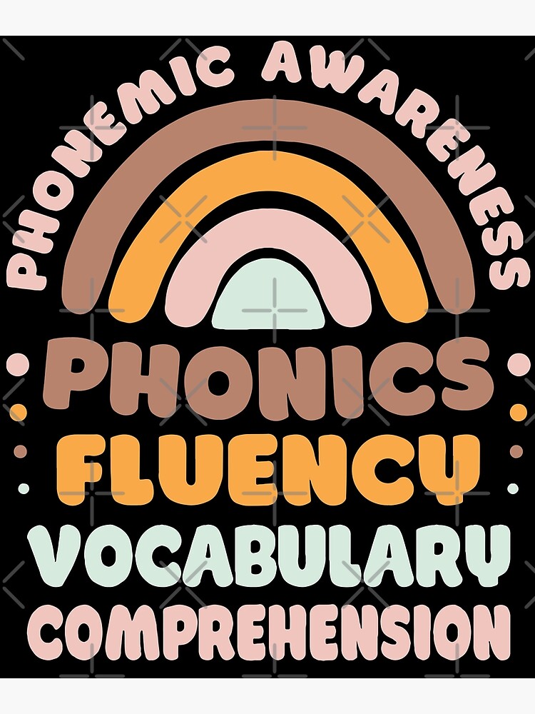 PHONEMIC AWARENESS PHONICS FLUENCY COMPREHENSION visual data 6