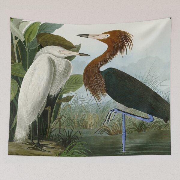 Item preview, Purple Heron - John James Audubon Birds of America designed and sold by Natural History Prints.
