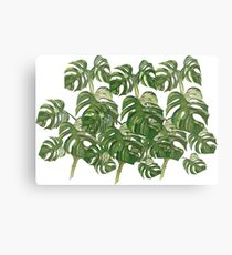 Botanical Canvas Print