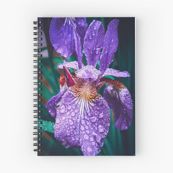 Item preview, A Dewy Purple Iris designed and sold by NibsNook.