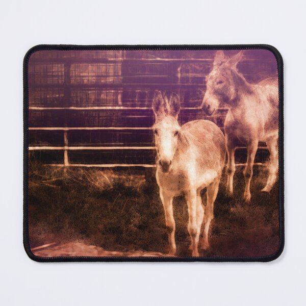 Item preview, Barnyard Buddies designed and sold by Jim Love.