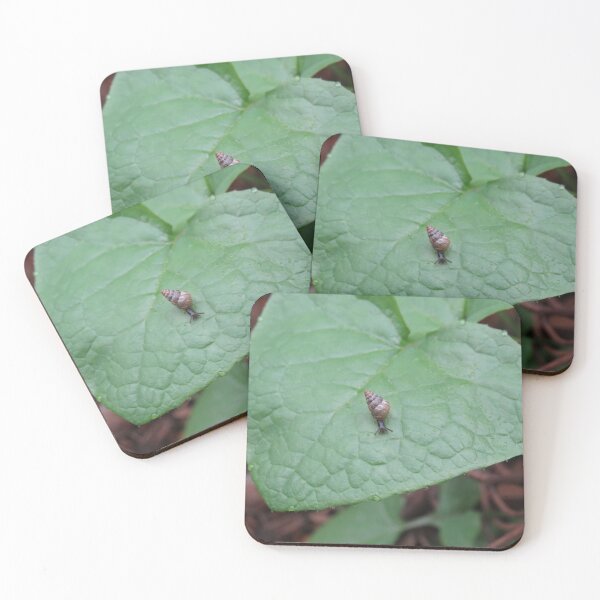 Item preview, Cochlicella barbara designed and sold by greentiger1.