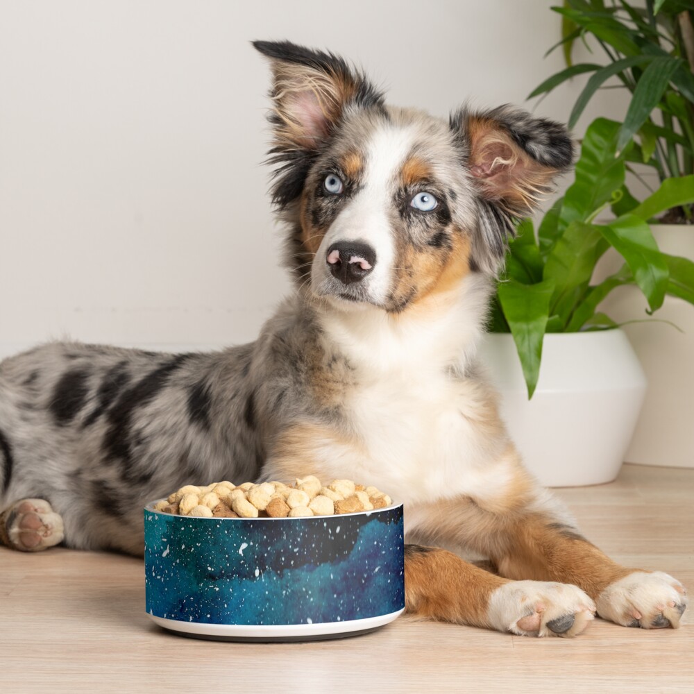 Emerald Galaxy Pet Bowl