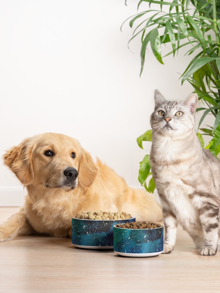 Alternate view of Emerald Galaxy Pet Bowl