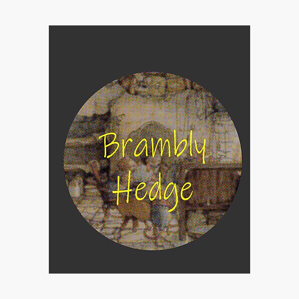 Item preview, Brambly Hedge designed and sold by diezitrones.