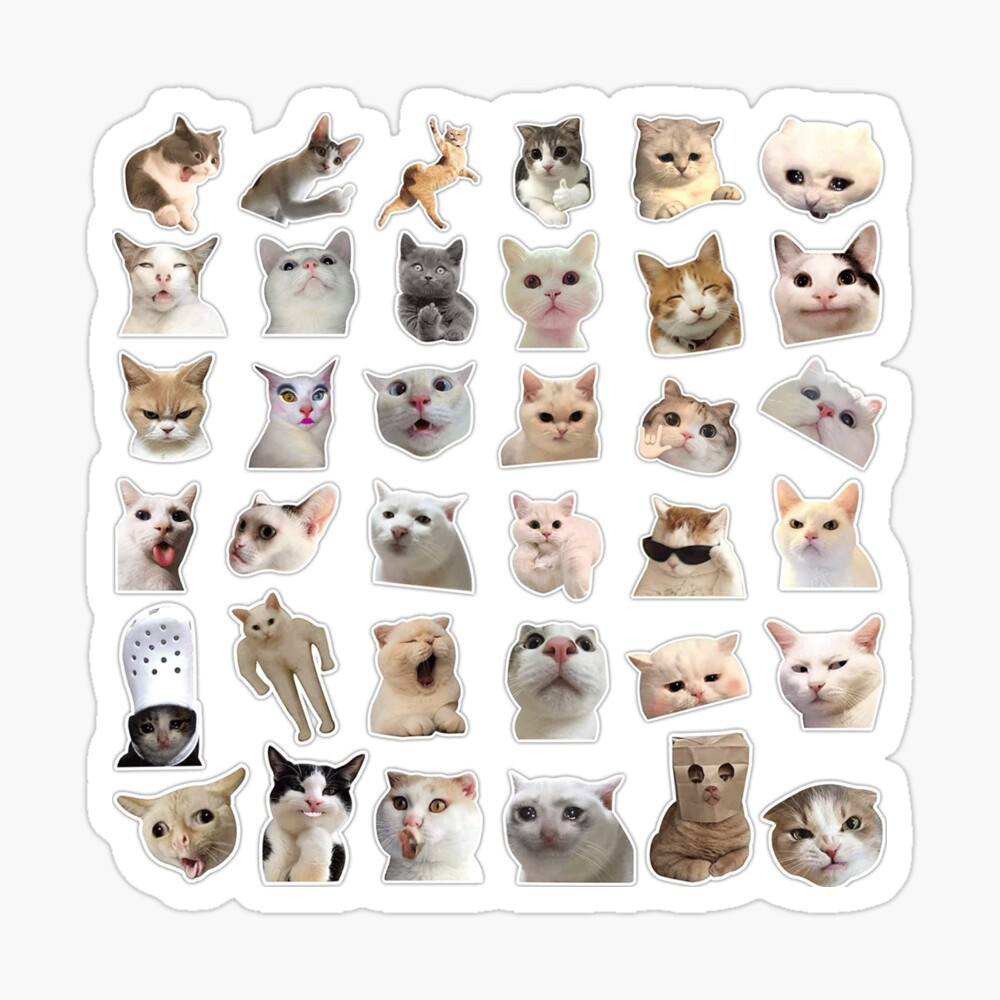 36 Funny Cat Stickers Pack, Hilarious Cat Meme Decals Set, Waterproof  Graphic Cat Face Stickers, for Room Decor, Wall, Tablet, Fridge, Laptop,  Phone