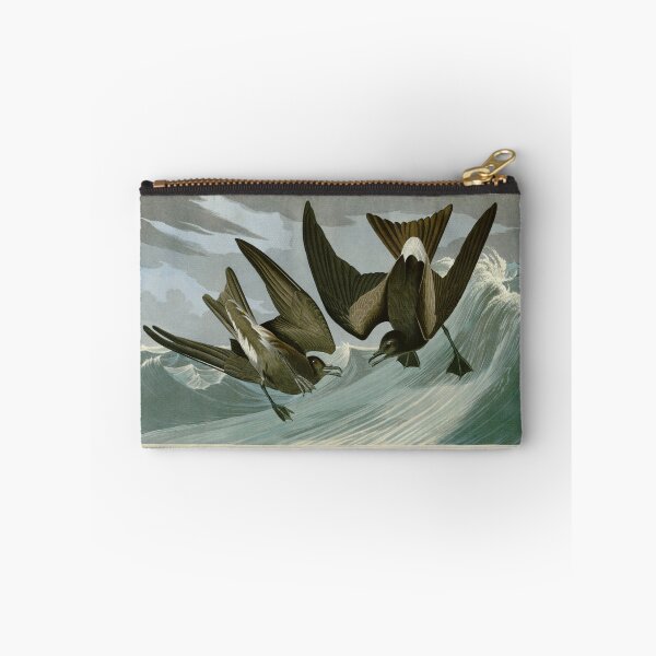 Item preview, Fork Tailed Storm Petrel by John James Audubon designed and sold by Natural History Prints.