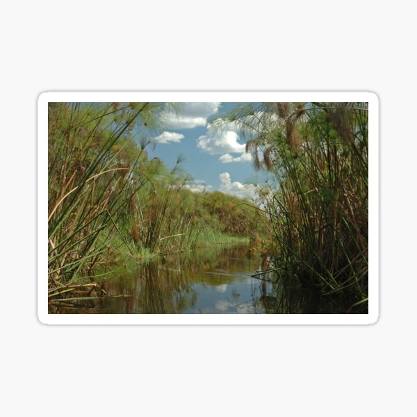 Okavango Delta from mokoro Sticker
