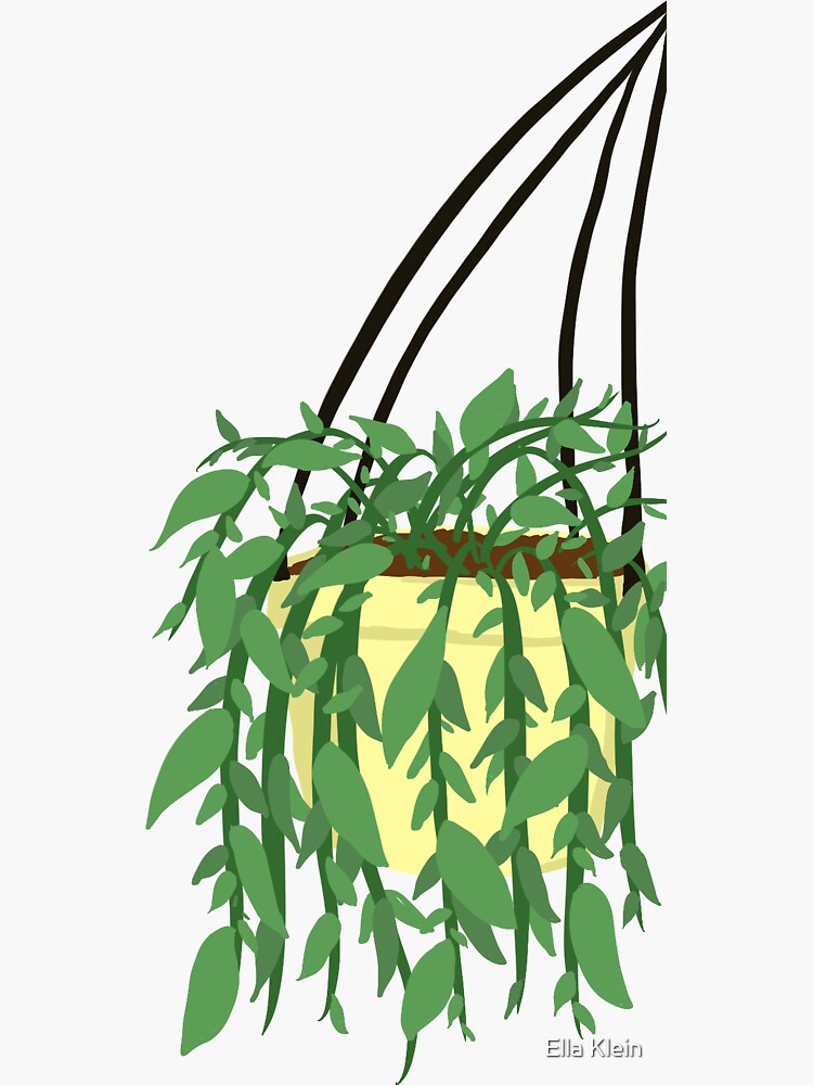 "Hanging Plant Laptop Sticker" Sticker for Sale by ellajklein Redbubble