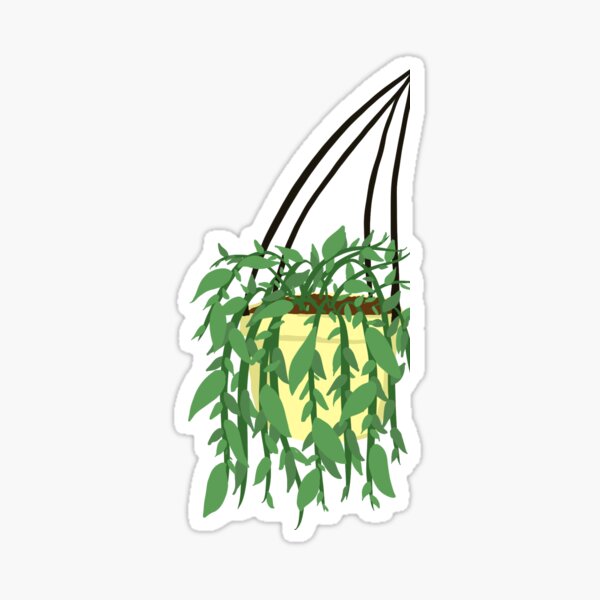 "Hanging Plant Laptop Sticker" Sticker for Sale by ellajklein Redbubble