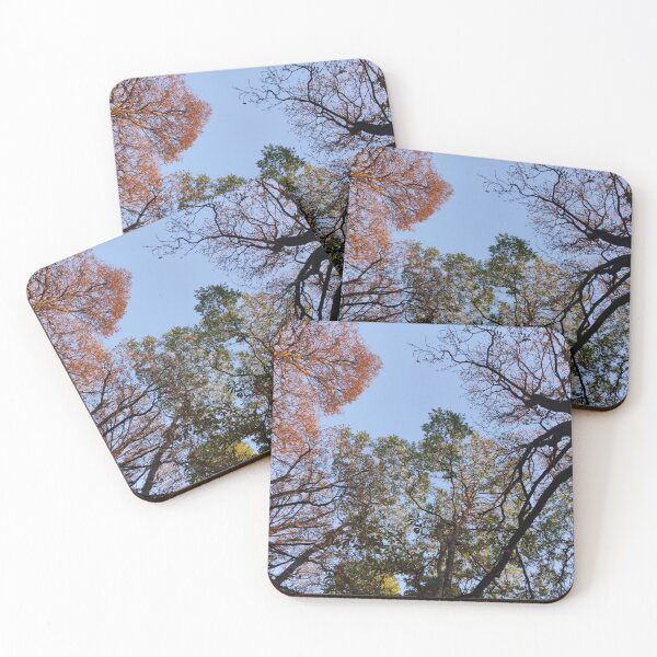 Item preview, Treetops designed and sold by KNBS.