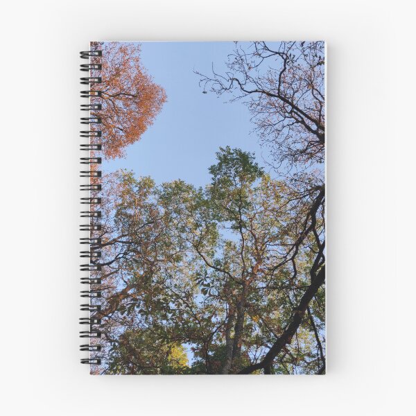 Item preview, Treetops designed and sold by KNBS.