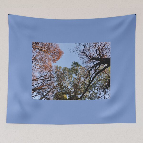 Item preview, Treetops designed and sold by KNBS.