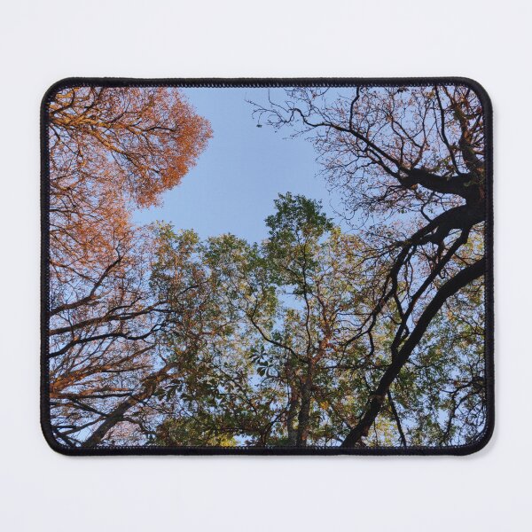 Item preview, Treetops designed and sold by KNBS.