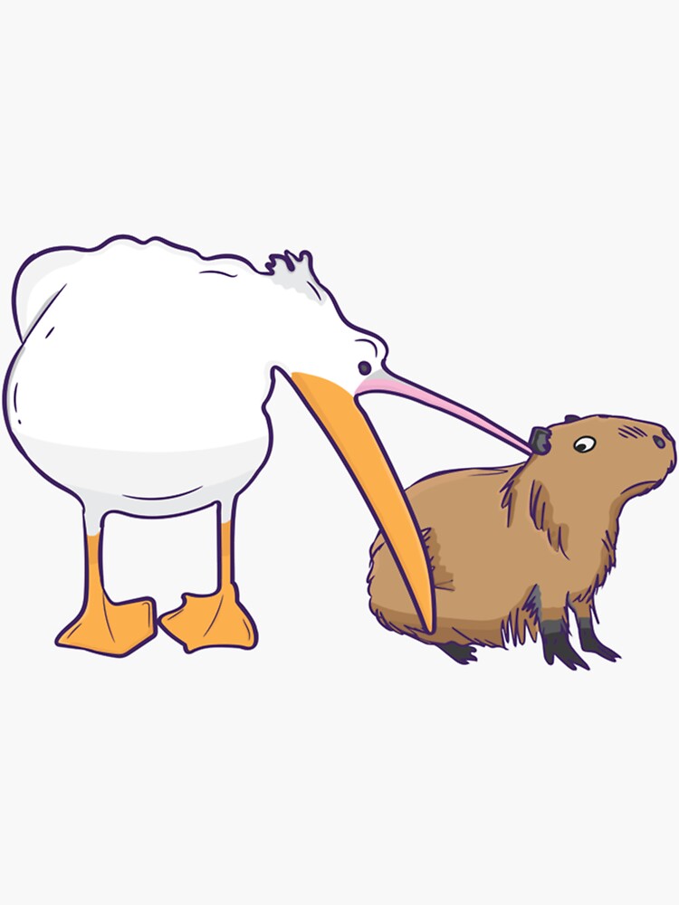 "Pelican Tries to Eat Capybara Funny Cute Kawaii Meme" Sticker for Sale by sugaryphrasing4