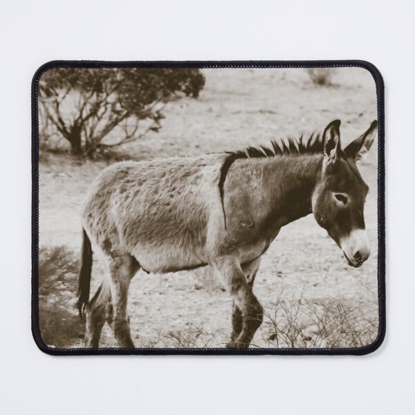 Item preview, Caminando Burro designed and sold by rfilmworks.