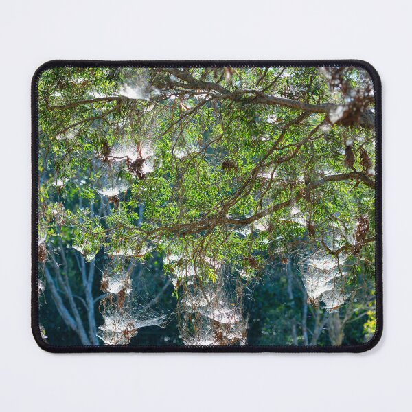 Item preview, Spider Webs designed and sold by Adrian Alford Photography.
