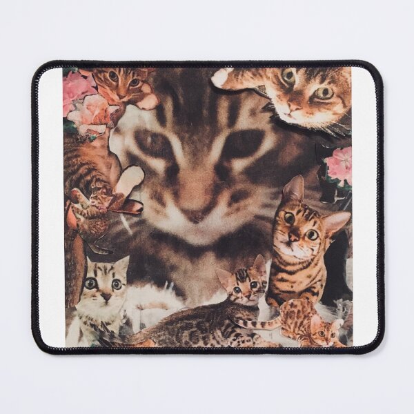 Item preview, kitten play designed and sold by sharonna-misha.