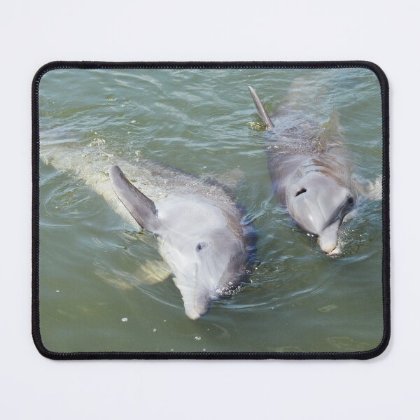 Item preview, Making Friends designed and sold by Dacia Tomnitz.
