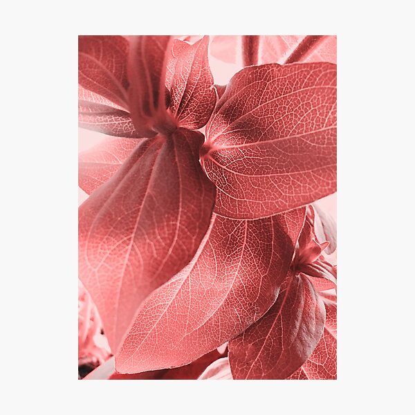Item preview, Colored Natural Leaves details , fresh and calm  designed and sold by Lowrain Nabih.
