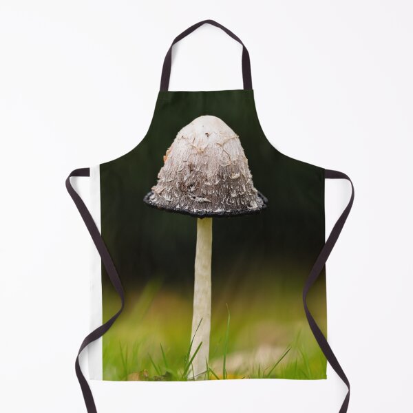 Artikelvorschau, Shaggy Inkcap Mushroom mit diffusem Hintergrund entworfen und verkauft von dvlcom.