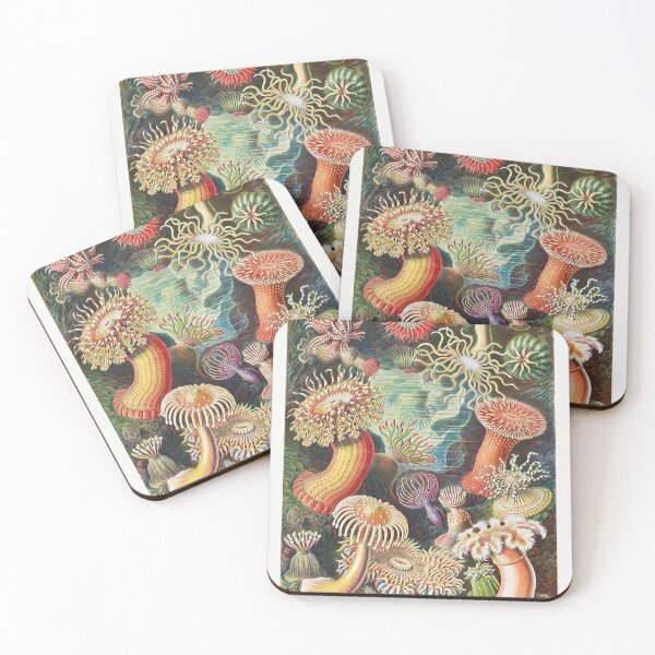 Item preview, Sea Anemone designed and sold by seacucumber.