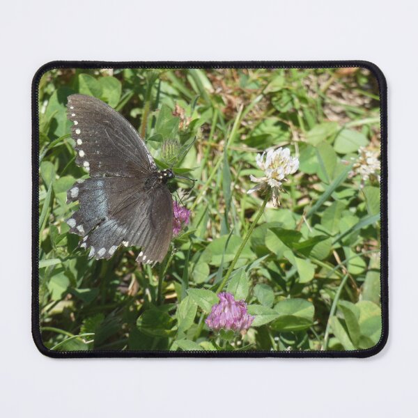 Item preview, Butterfly  designed and sold by undermae.