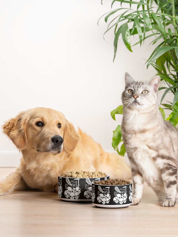 Alternate view of Cat Got Your Soul? Pet Bowl