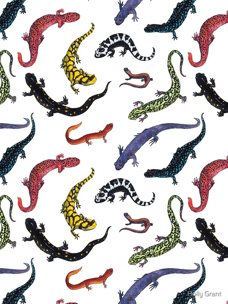 Salamanders by LadyElizabeth