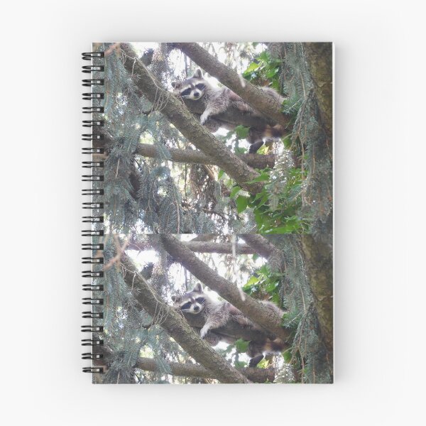 Item preview, Raccoon sleeping  designed and sold by Zarabeaver.