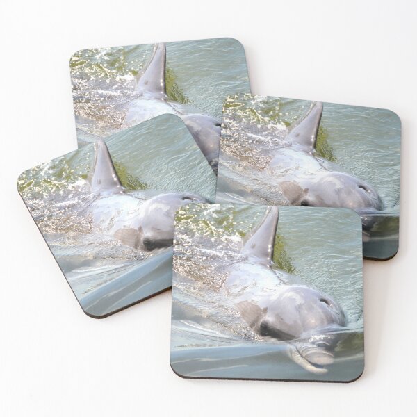 Item preview, Starting out With a Splash designed and sold by Dacia Tomnitz.