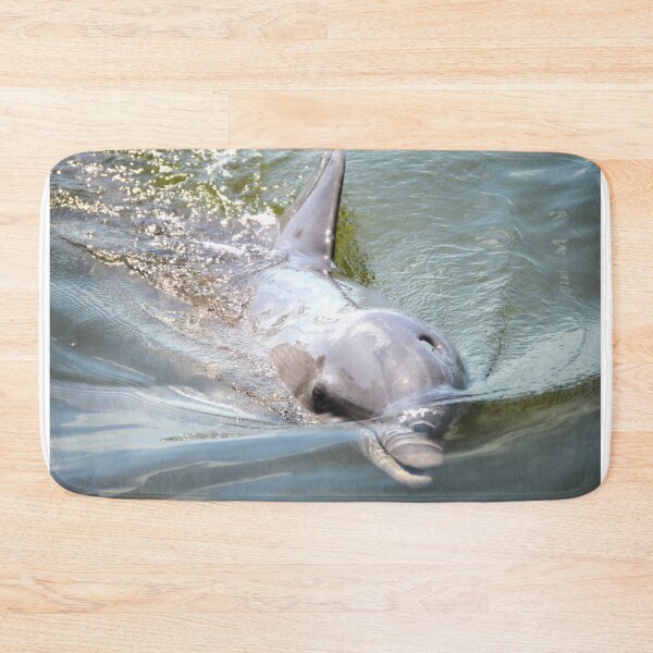 Item preview, Starting out With a Splash designed and sold by Dacia Tomnitz.