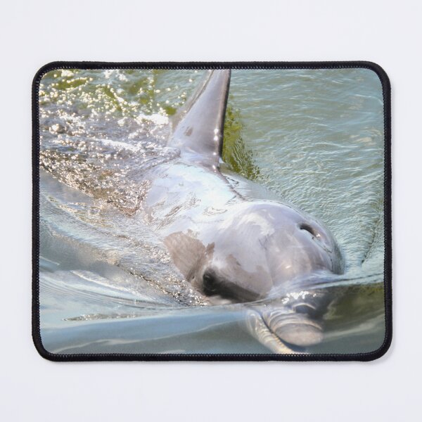 Item preview, Starting out With a Splash designed and sold by Dacia Tomnitz.