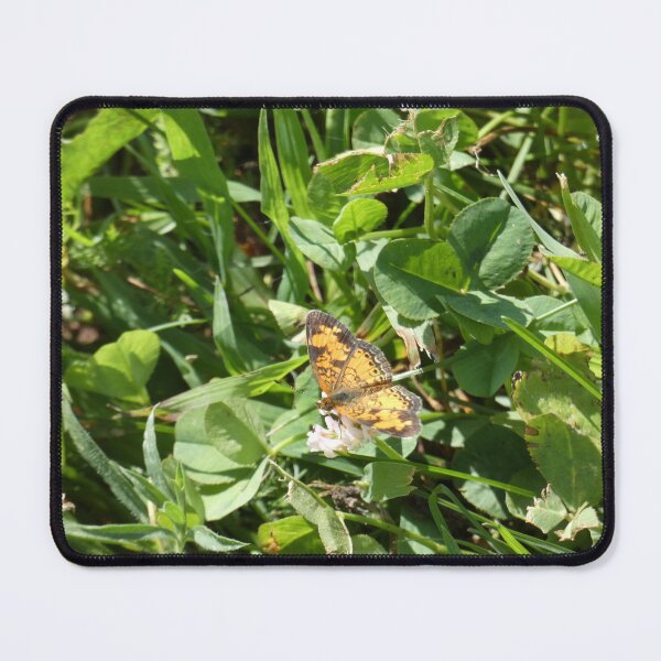 Item preview, Butterfly on a Flower designed and sold by undermae.