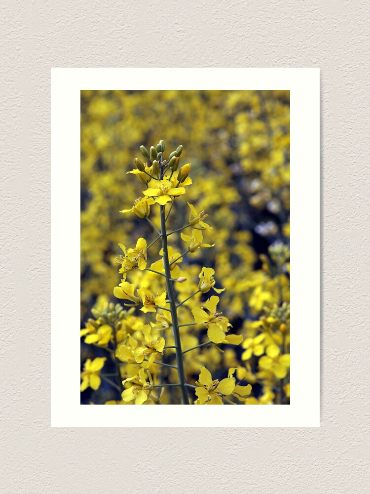 Alternate view of Yellow Sea #4 Art Print