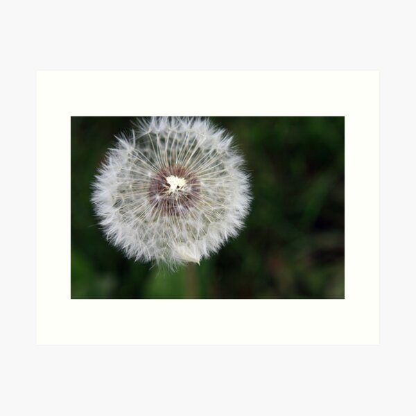 Item preview, Blowball designed and sold by hynek.